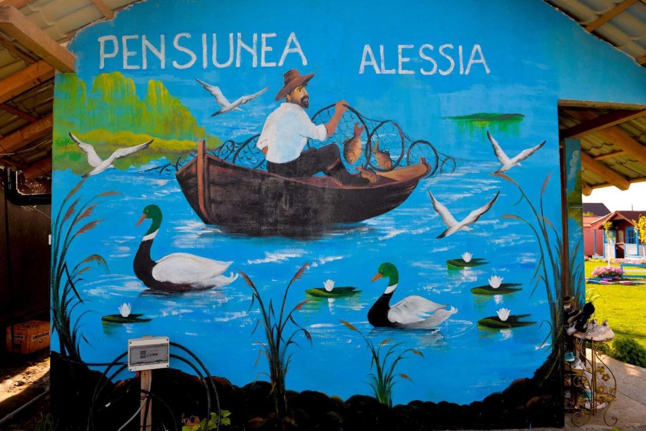 Pensiunea Alessia Murighiol Esterno foto